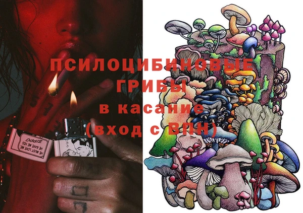 ECSTASY Абаза