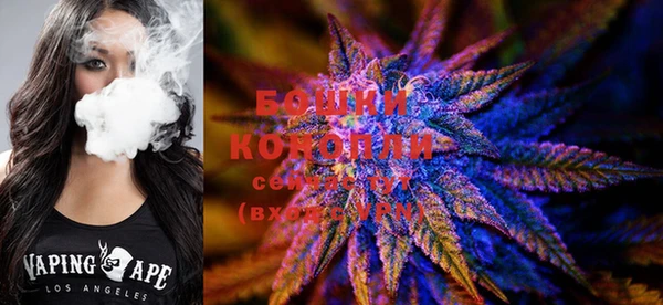 ECSTASY Абаза