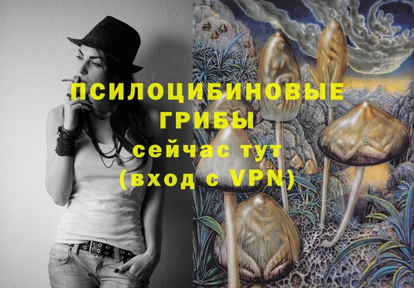 ECSTASY Абаза